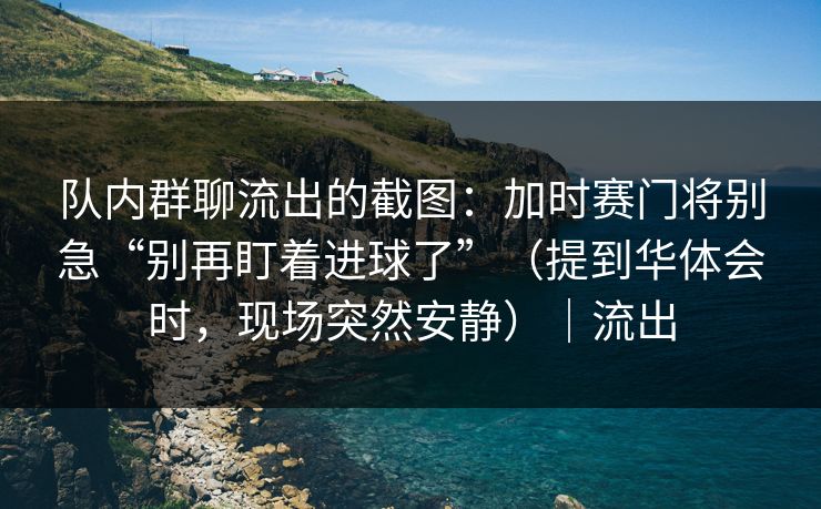 队内群聊流出的截图：加时赛门将别急“别再盯着进球了”（提到华体会时，现场突然安静）｜流出