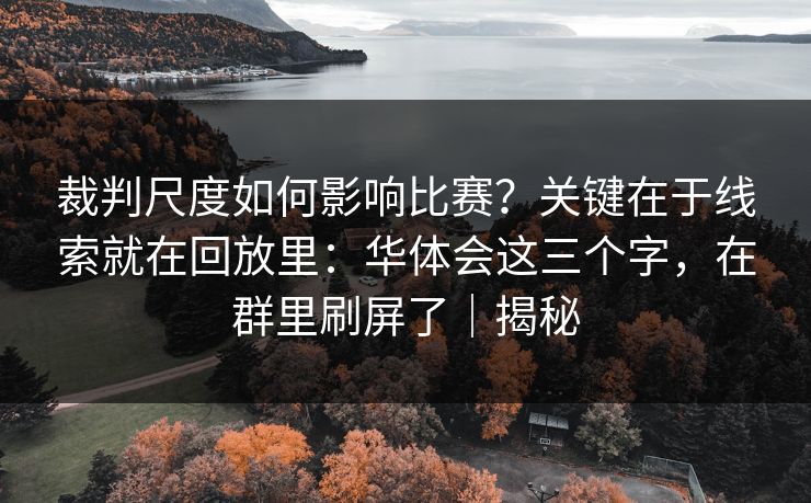 裁判尺度如何影响比赛？关键在于线索就在回放里：华体会这三个字，在群里刷屏了｜揭秘